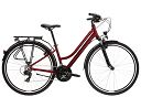 Kross TRANS 1.0